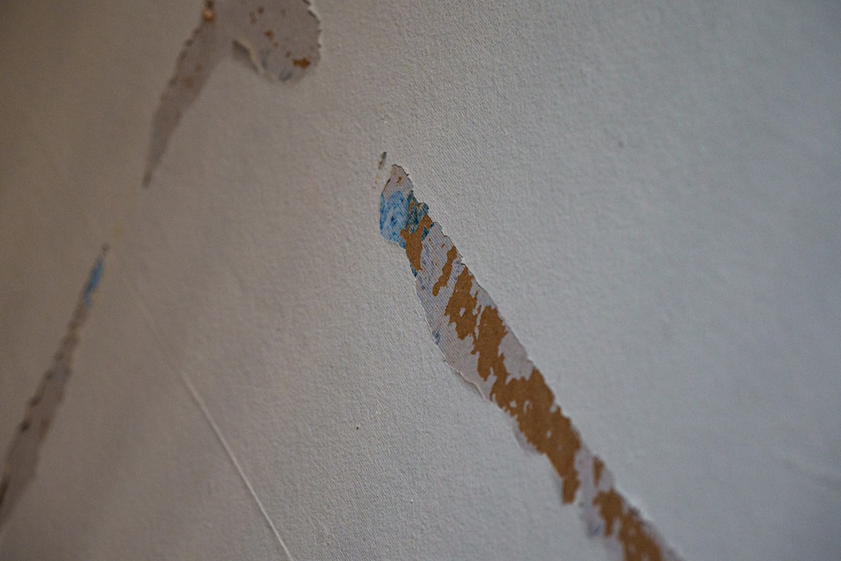 Sewage Cleanup service in Sicklerville, NJ